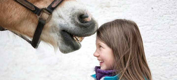 Equithérapie : les bases médicales de la thérapie avec les chevaux