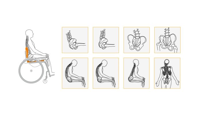 Postures Pelviennes & Vertébrales