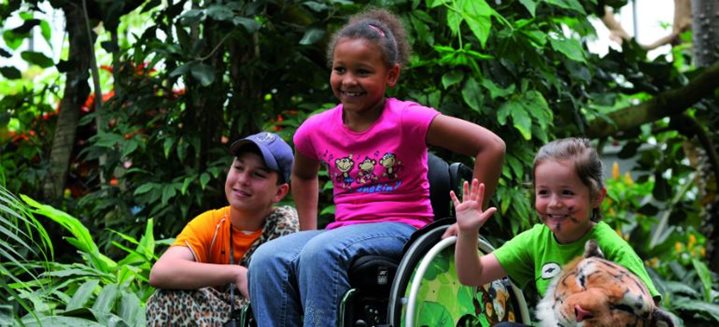 Des activités formidables pour les enfants en fauteuil roulant