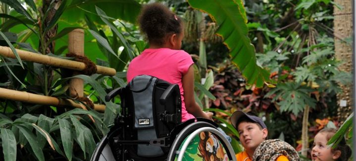 Les meilleurs parcs adaptés pour les enfants handicapés