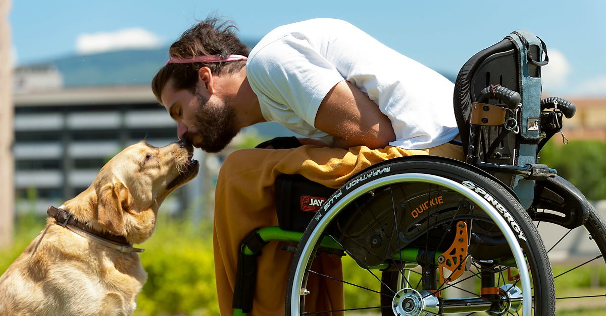 Chiens d'assistance pour personnes handicapées Sunrise Medical